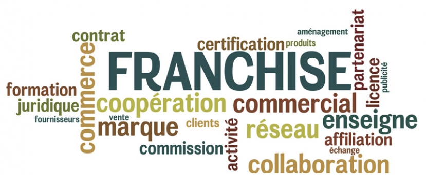¿Cuántos tipos de franquicias existen y cuáles son sus ventajas?